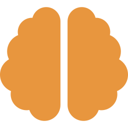 Complexiteit is niet het probleem. Cognitieve belasting wel 1 Gestileerd brein-icoon